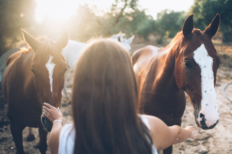 sesión pre boda en Hacienda Saltillo Lasso, Sevilla
