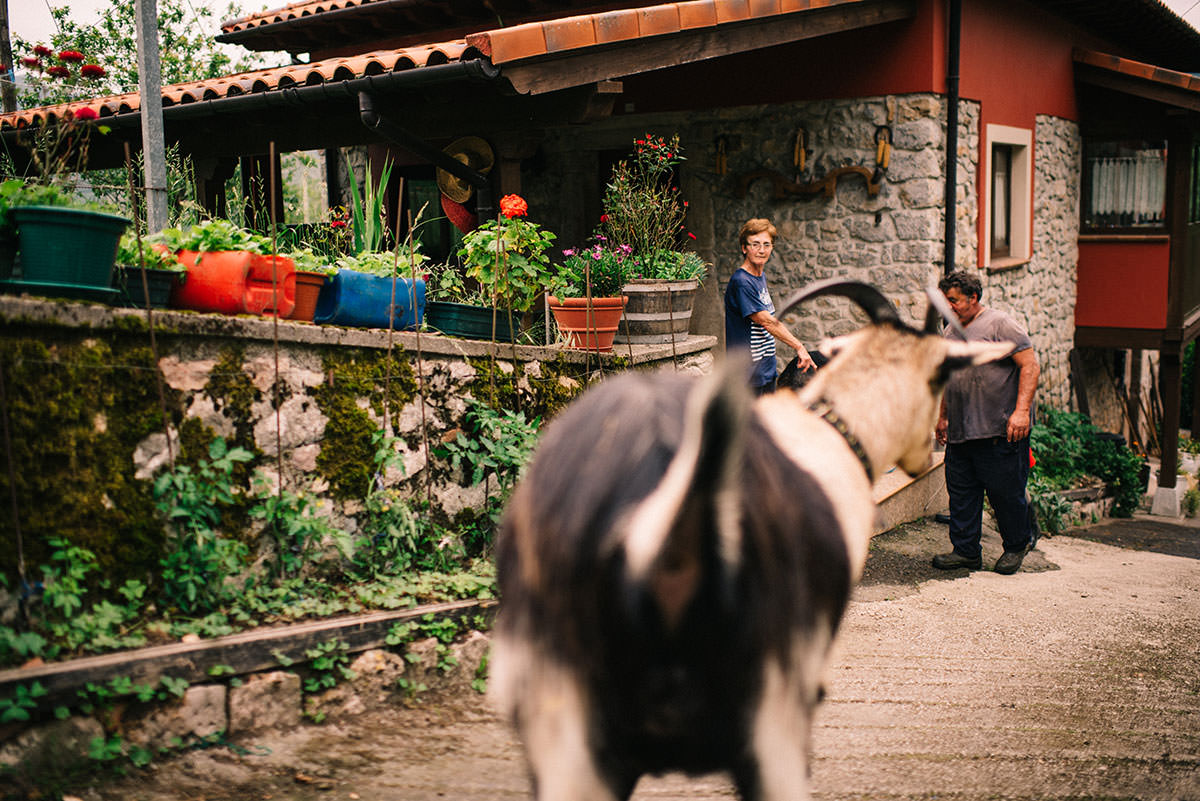 Preboda en Asturias