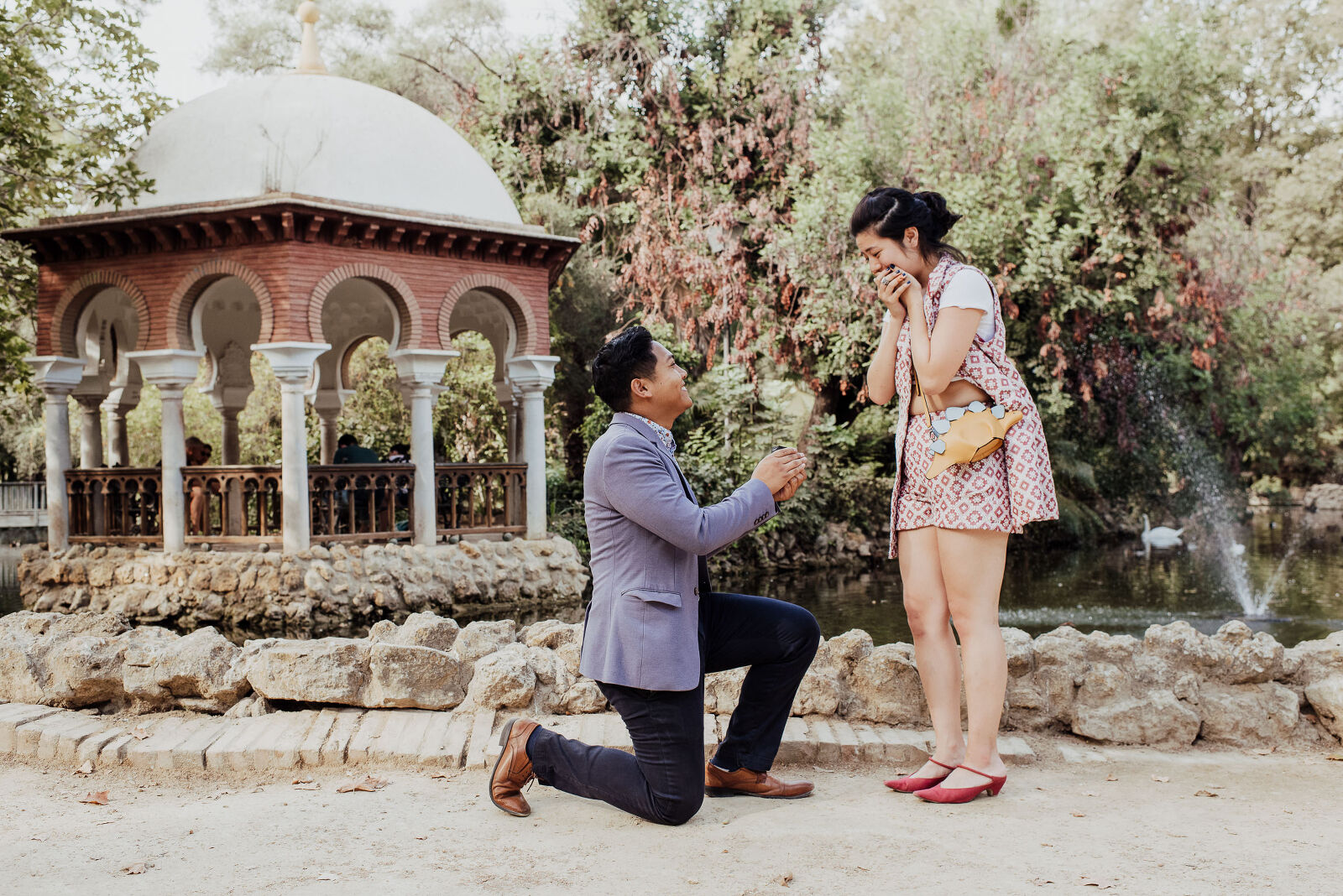 Surprise proposal in Seville