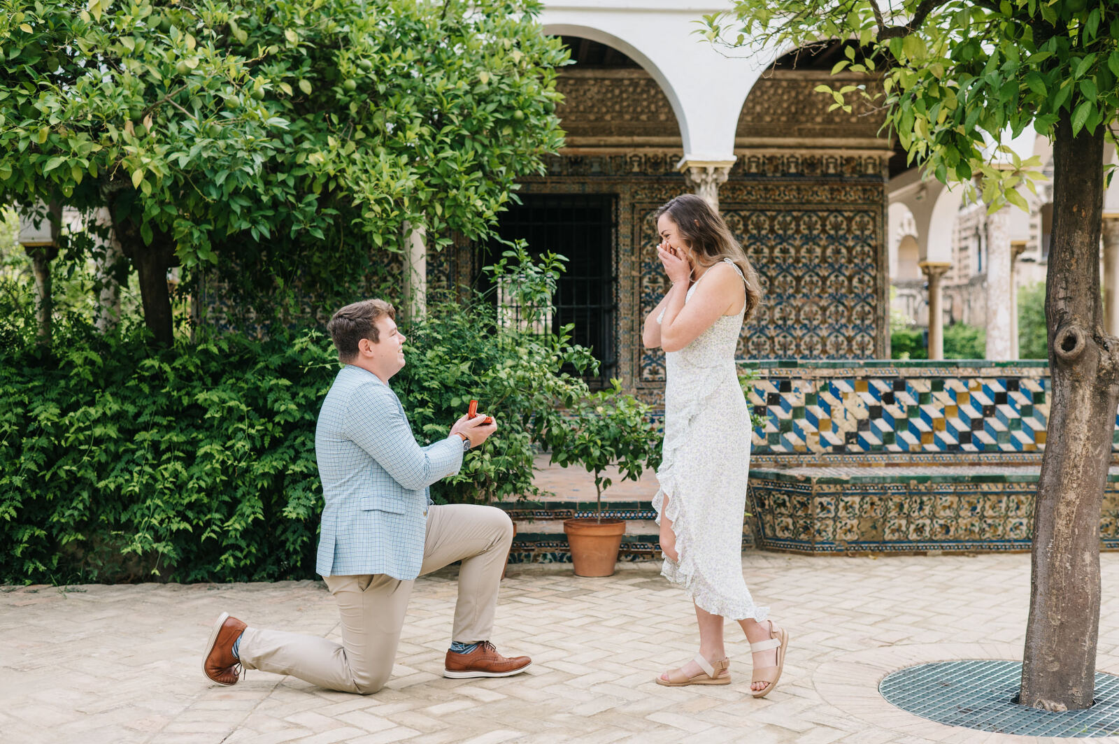 Surprise proposal in Seville