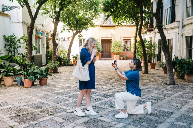Surprise proposal Seville